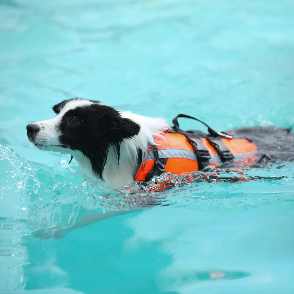 Active Swimmer Reflective Life Jacket