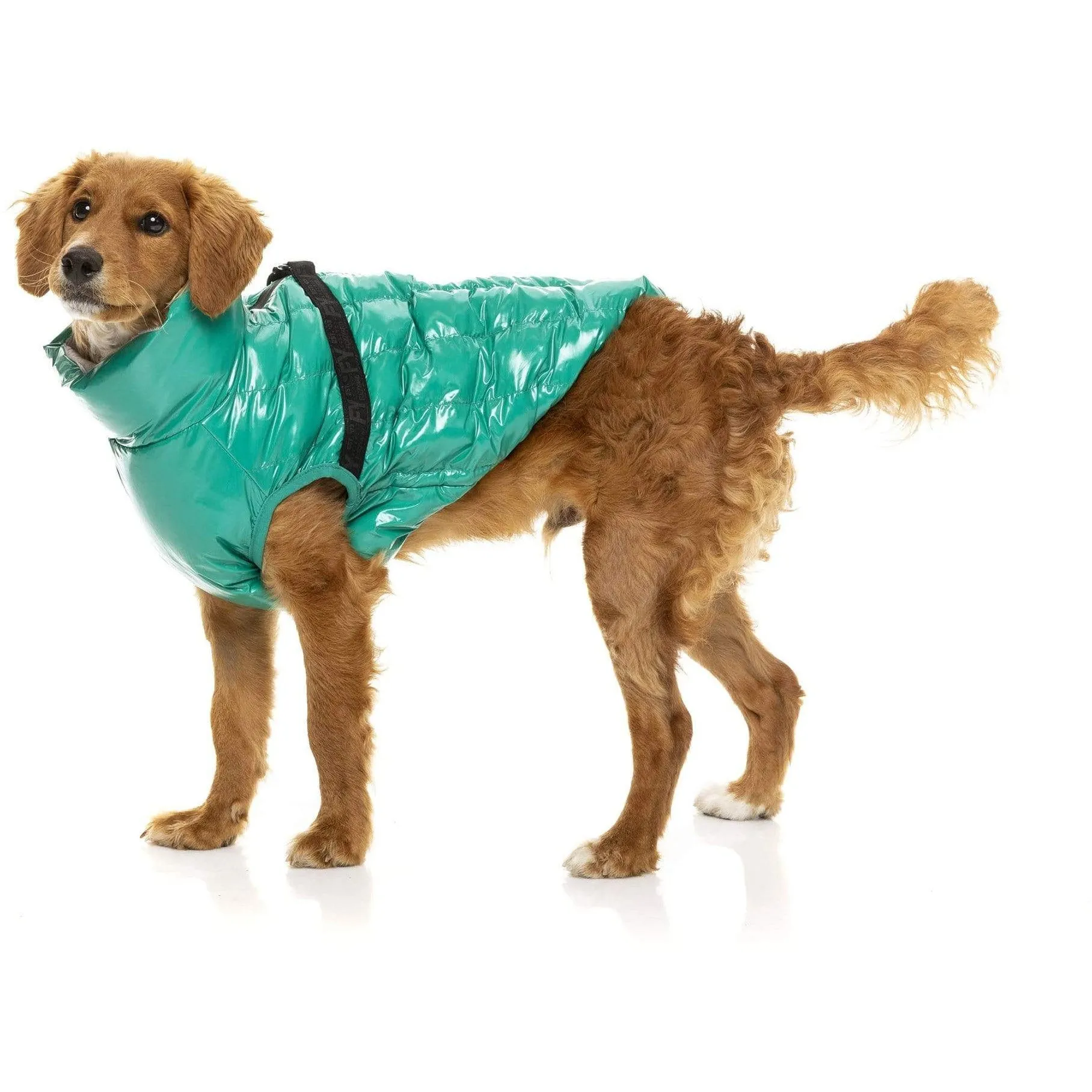 Calabasas Dog Jacket - Sea Green