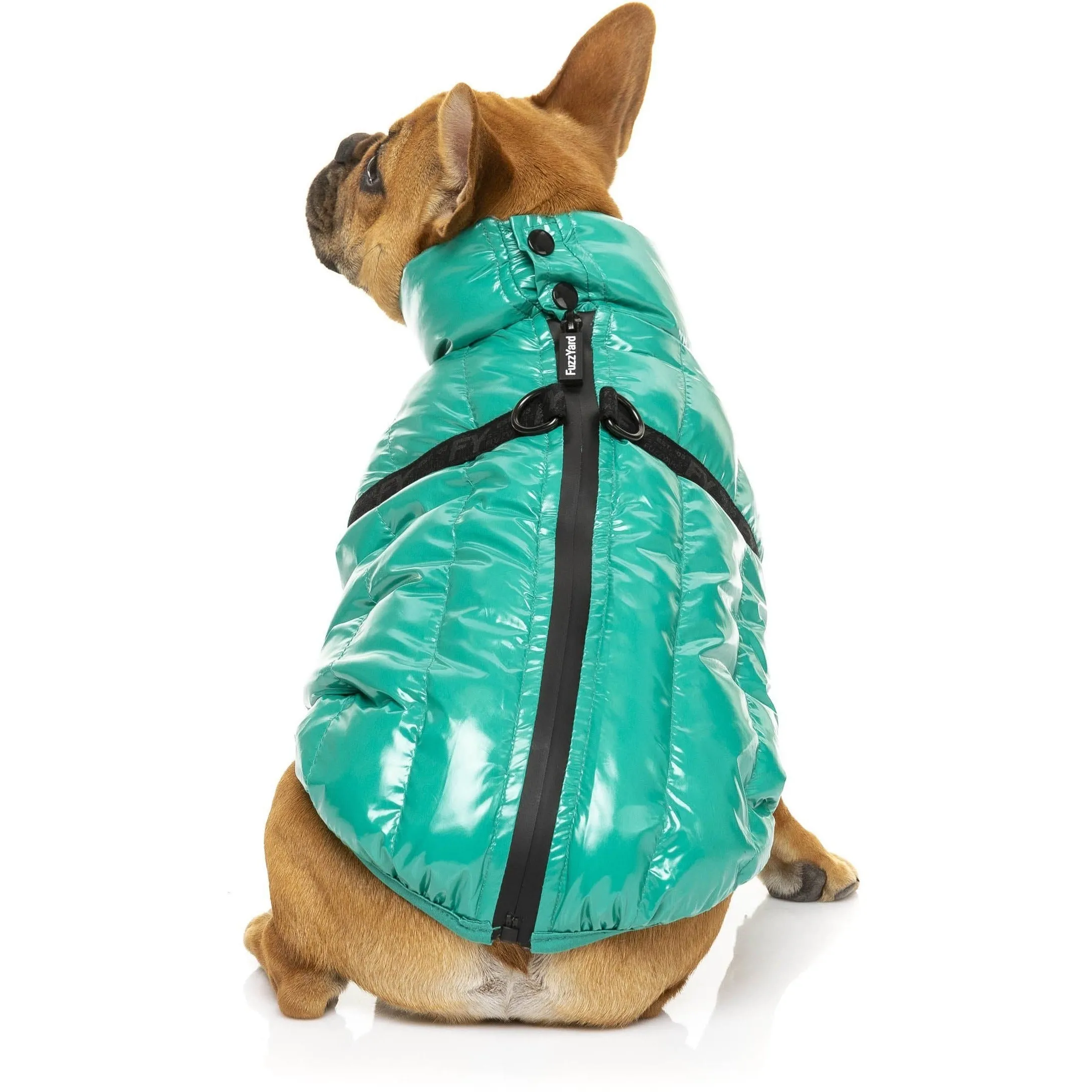 Calabasas Dog Jacket - Sea Green