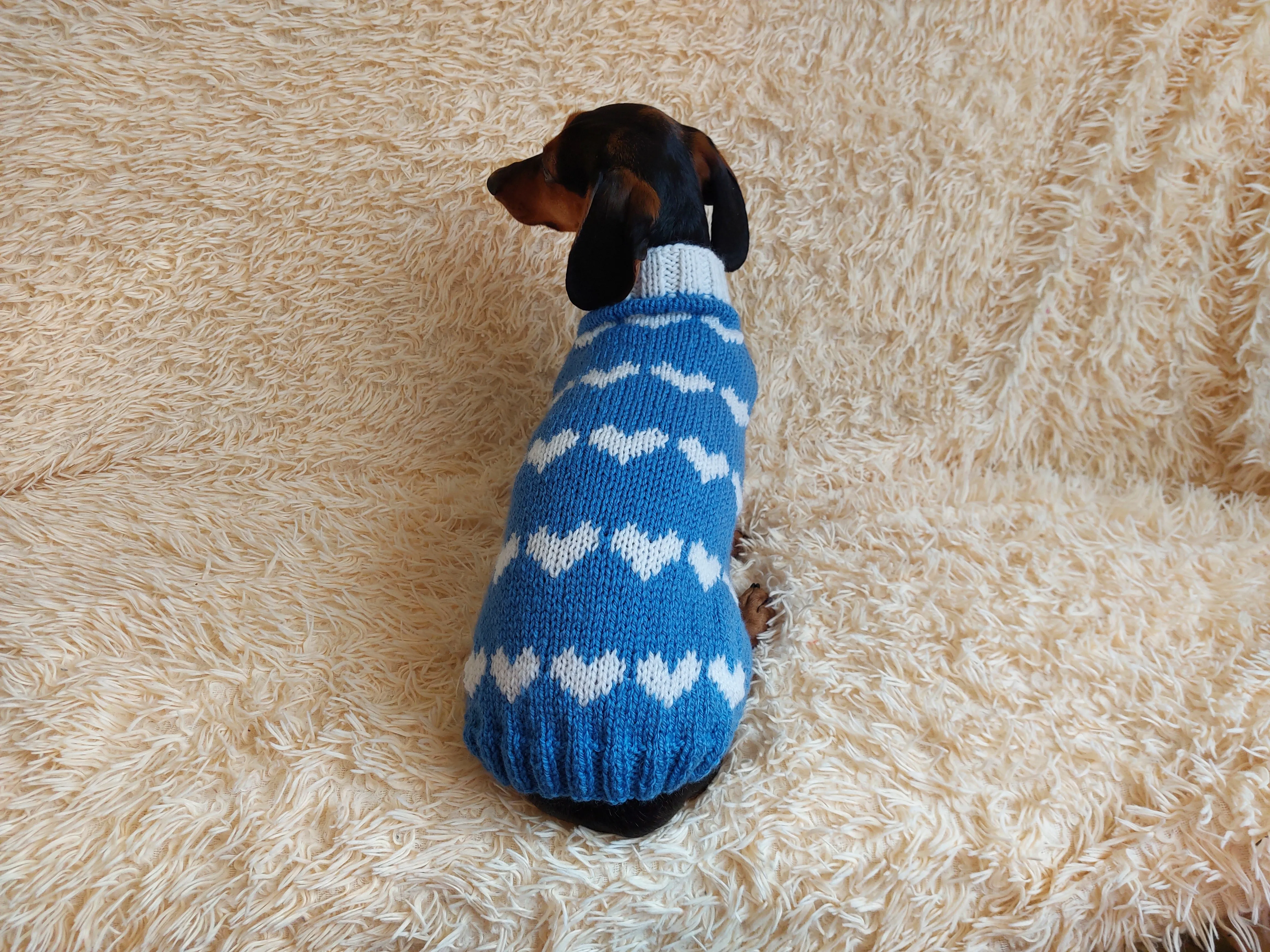 Dachshund knitted heart sweater, clothing Dachshund heart sweater, Valentine's day dog sweater, sweater for dachshunds, clothes for dog