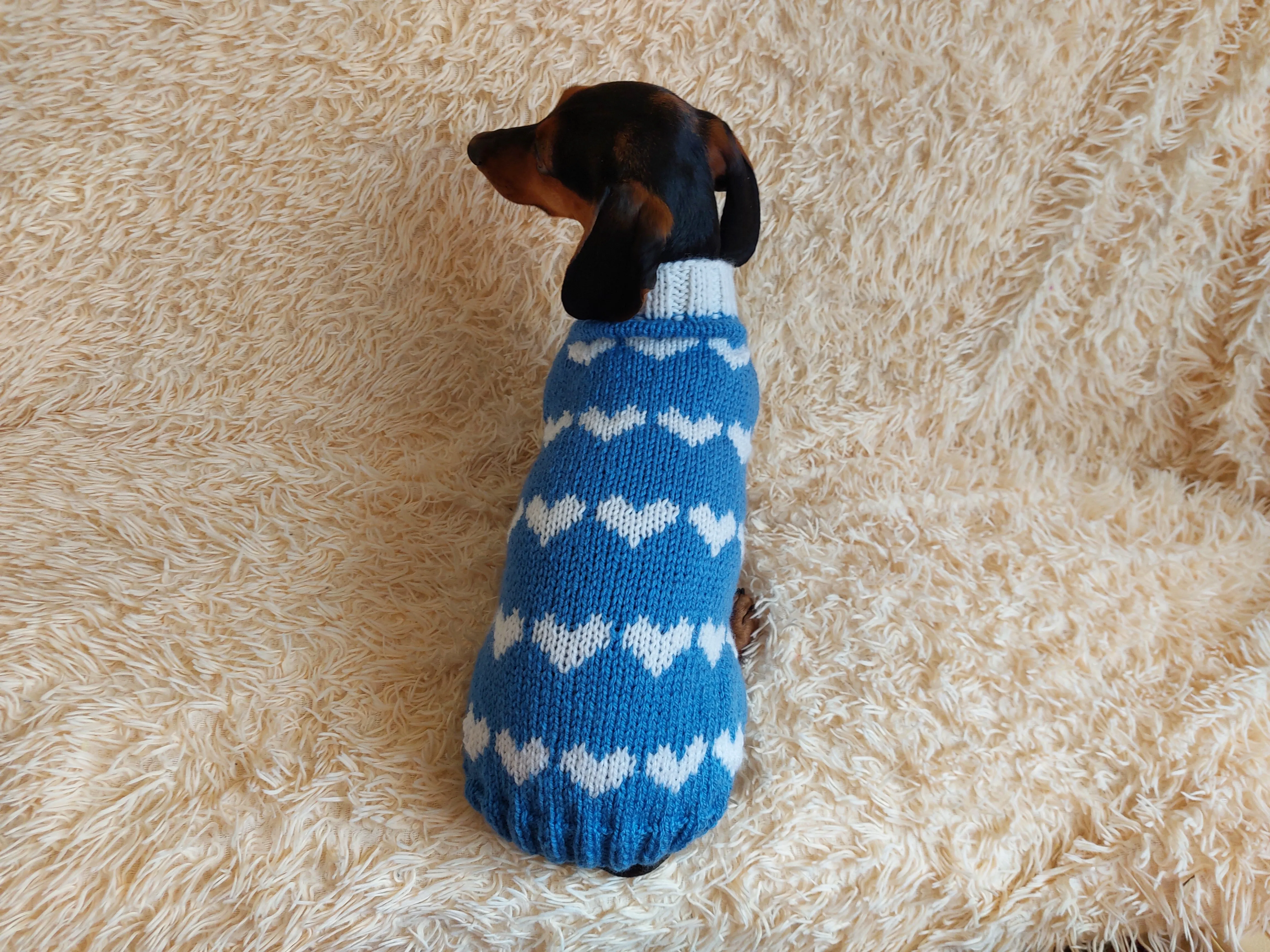 Dachshund knitted heart sweater, clothing Dachshund heart sweater, Valentine's day dog sweater, sweater for dachshunds, clothes for dog