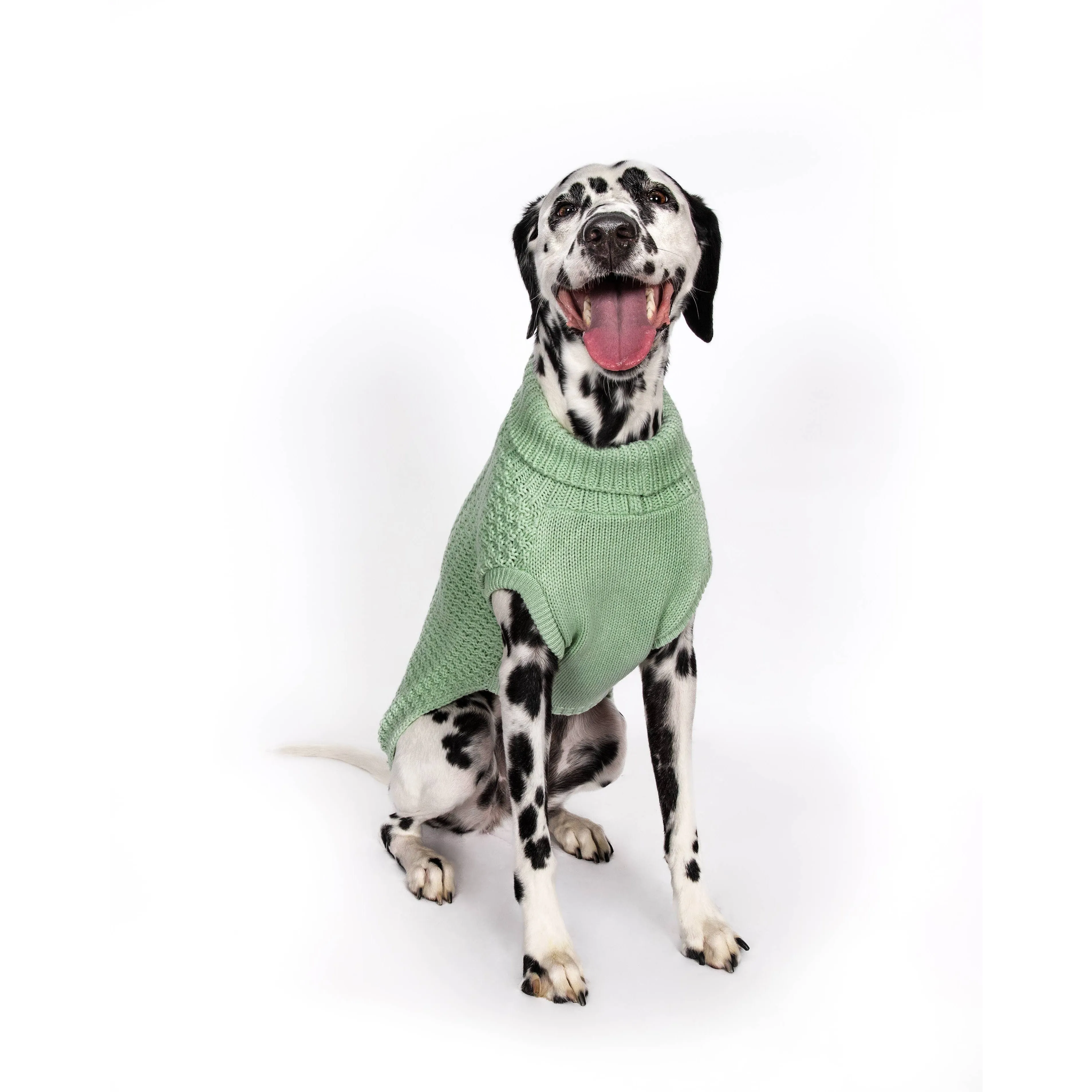 Fabdog | Super Chunky Dog Sweater Mint