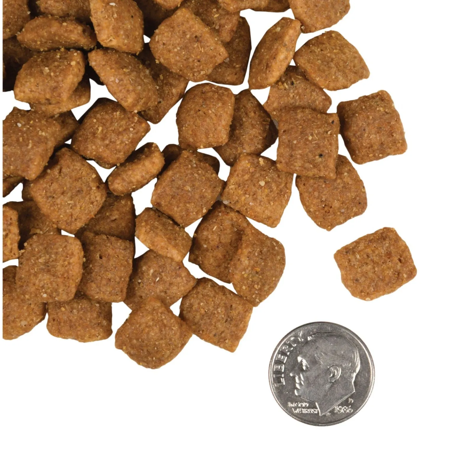 Fromm Adult Gold Dry Dog Food