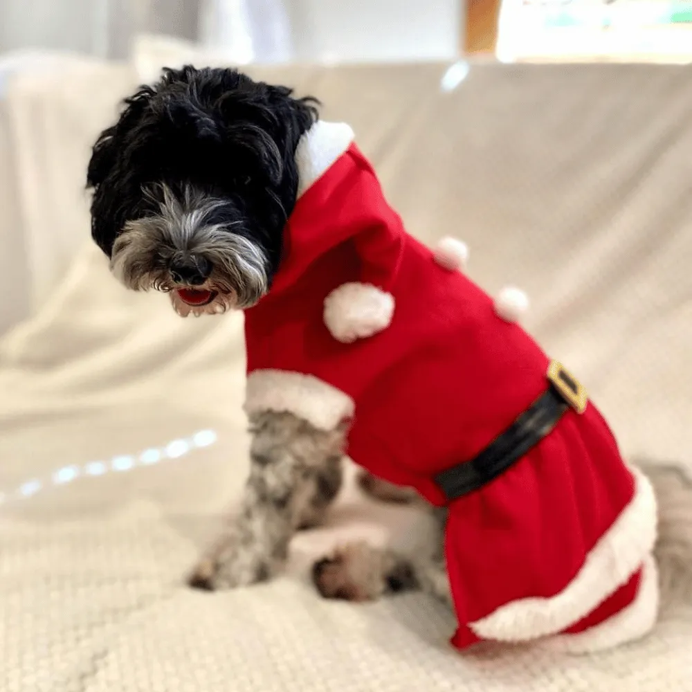 Mrs Clause Dog Costume