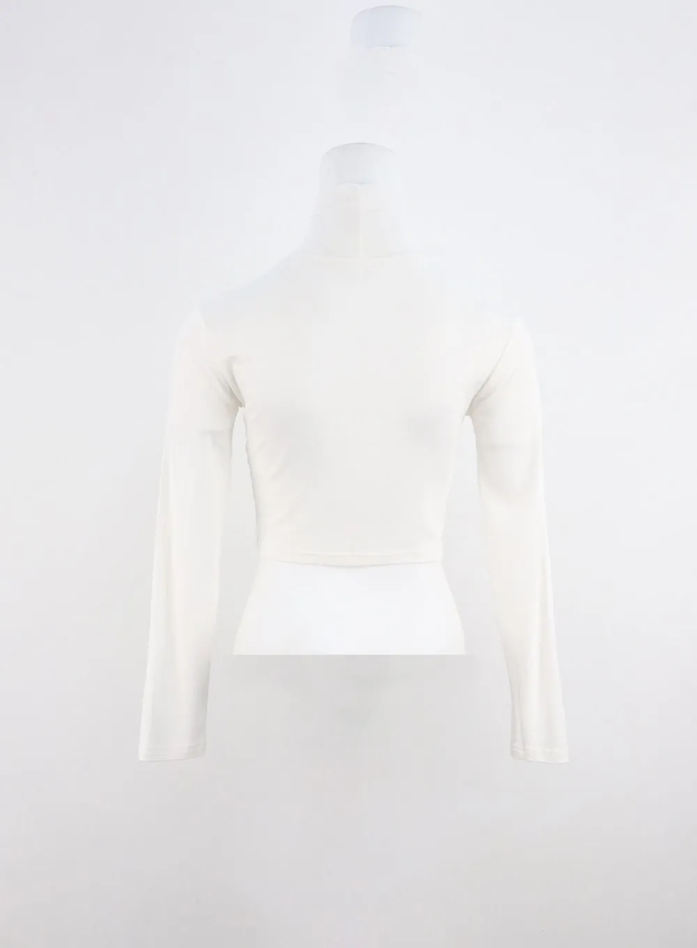 Solid Long Sleeve Turtleneck Crop IO320