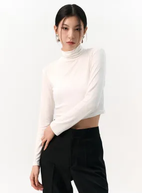 Solid Long Sleeve Turtleneck Crop IO320